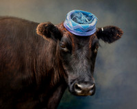 Cows in Hats Series - Tater