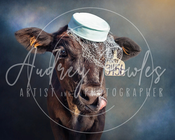 Cows in Hats Series - Baby in Blue
