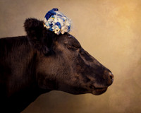 Cows in Hats Series - Lulu