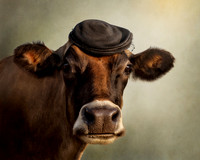 Cows in Hats Series - Ellie Mae