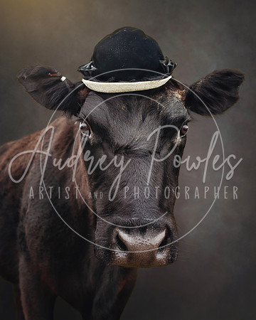 Cows in Hats Series - Freddie